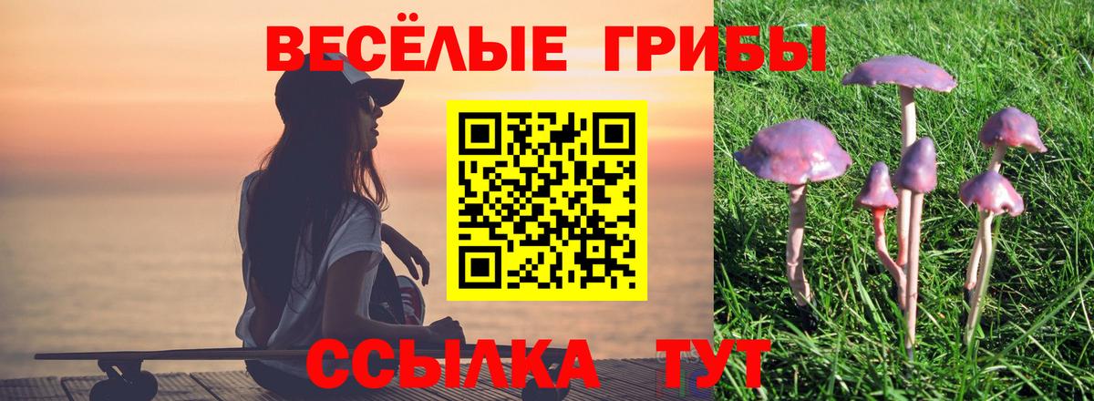 Галлюциногенные грибы MAGIC MUSHROOMS  Галлюциногенные грибы GOLDEN TEACHER  Вход с VPN  Нововоронеж 