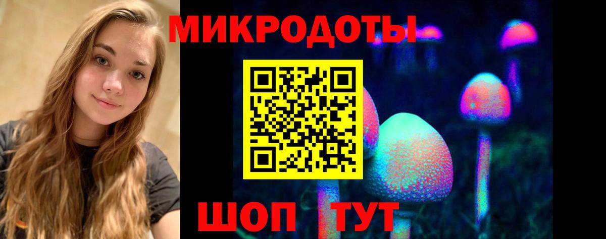 Псилоцибиновые грибы мицелий Нововоронеж