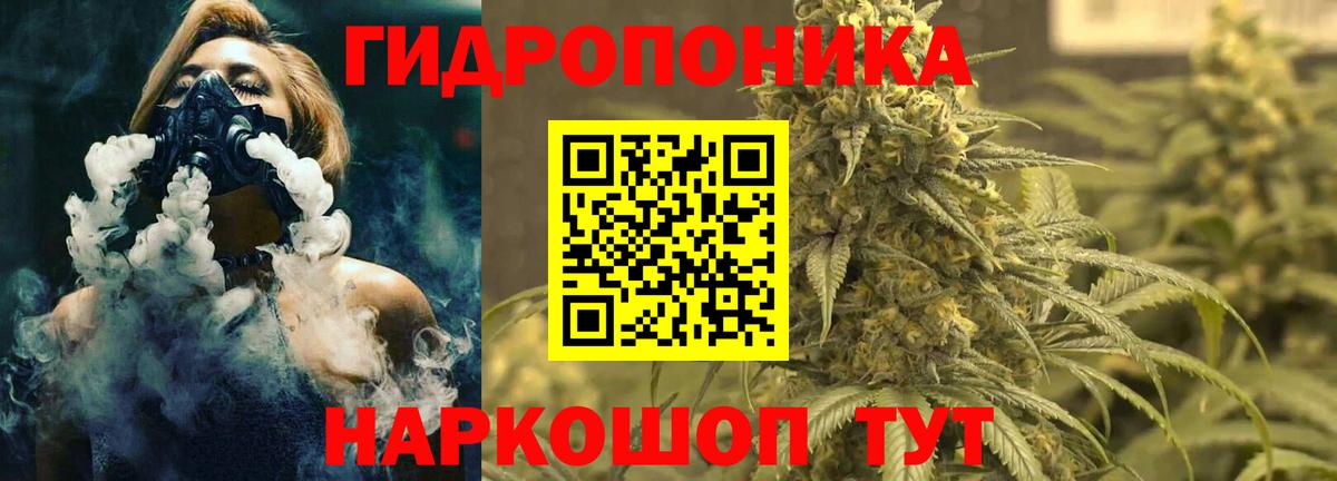 Конопля OG Kush Нововоронеж